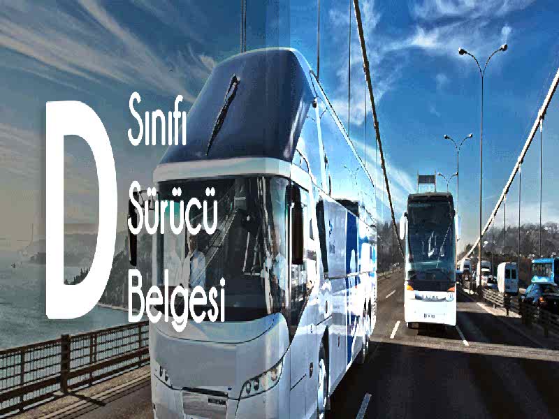 D Sınıfı Otobüs Ehliyeti